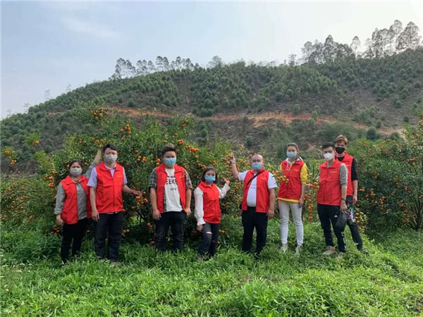 到门口暖心助力农产品走出滞销困境